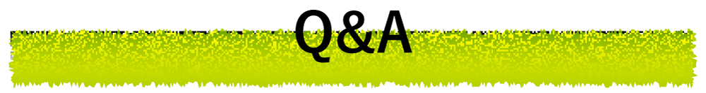 Q&A